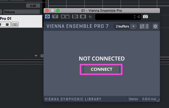 Vienna Ensemble PRO